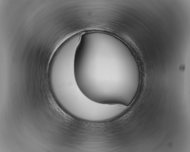 X0000115420884200911171421