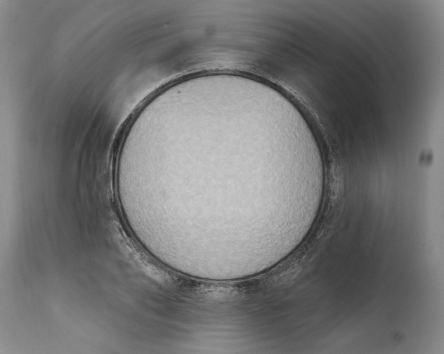 X0000115420886200911171420