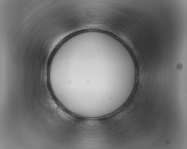 X0000115420888200911171420