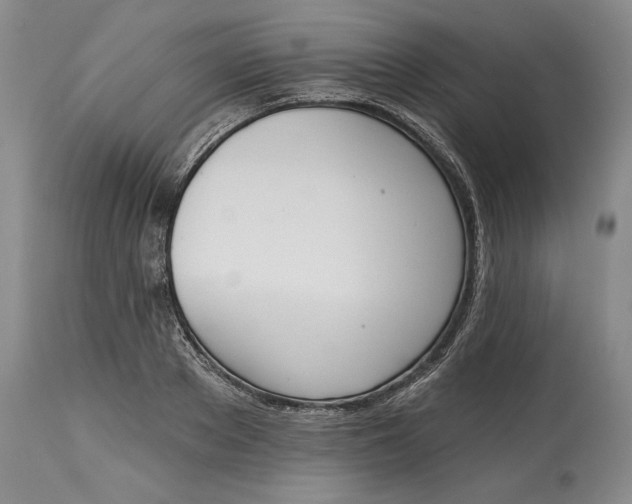 X0000115420889200911171420