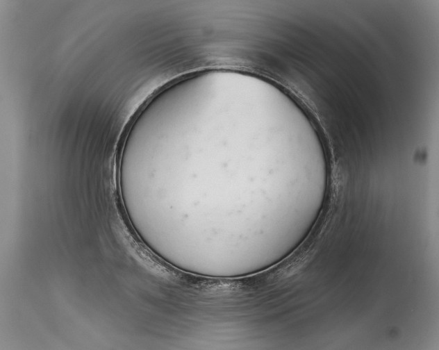 X0000115420891200911171420