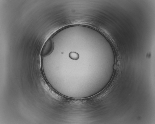 X0000115420892200911171420