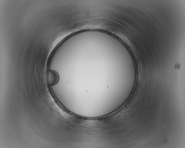 X0000115420894200911171420