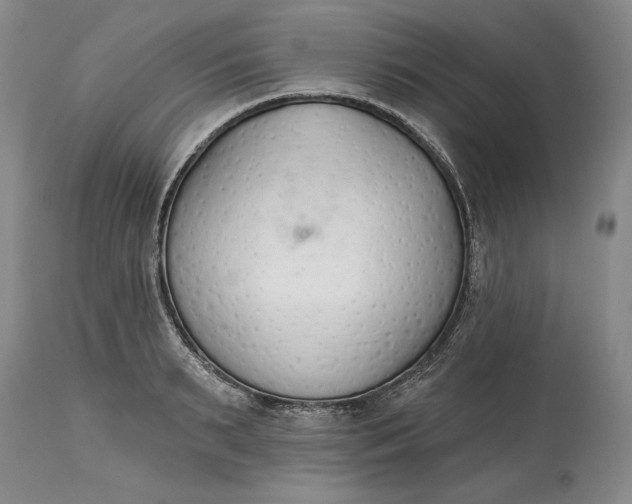 X0000115420895200911171420