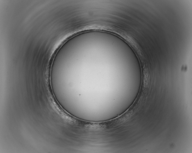 X0000115420896200911171420