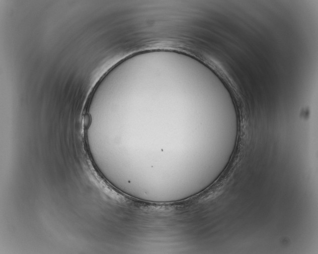X0000115420900200911171420