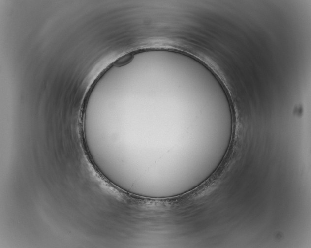 X0000115420901200911171420