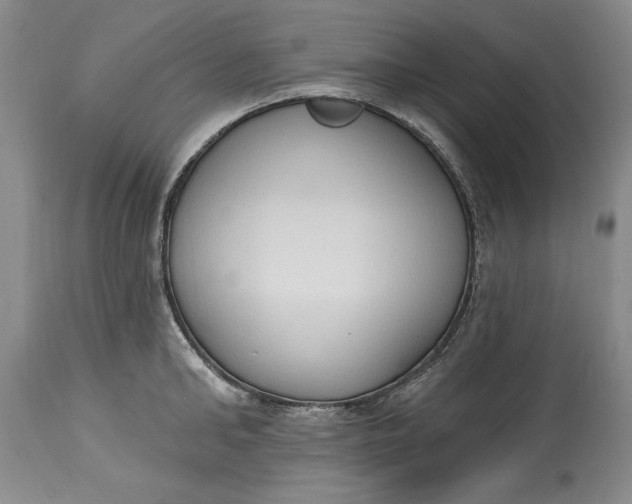 X0000115420902200911171420