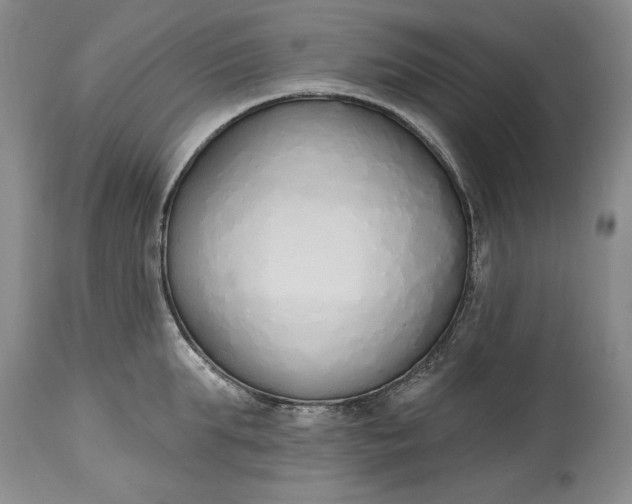 X0000115420903200911171420
