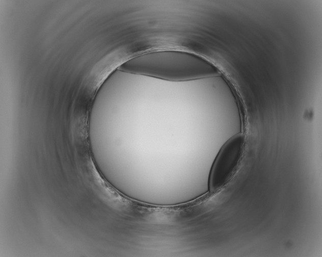 X0000115420905200911171420