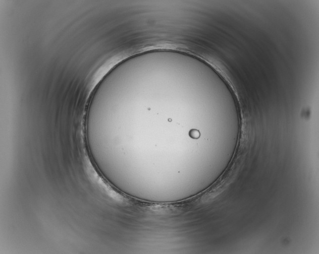 X0000115420906200911171420