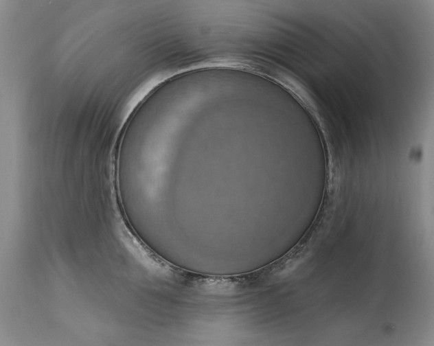 X0000115420907200911171420