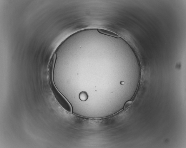 X0000115420908200911171420