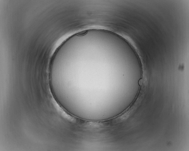 X0000115420910200911171420