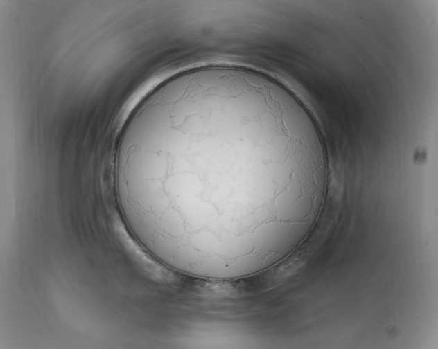 X0000115420911200911171420