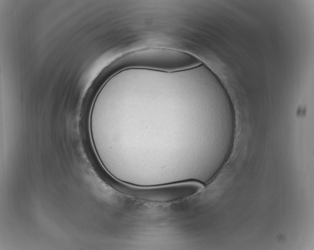 X0000115420912200911171420