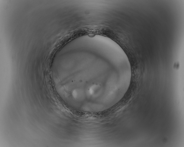 X0000115420913200911171419