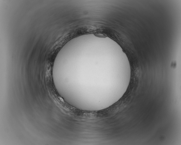 X0000115420914200911171419