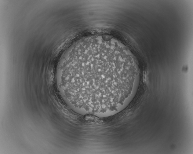 X0000115420915200911171419