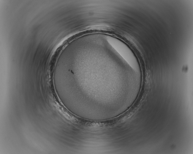 X0000115420923200911171420