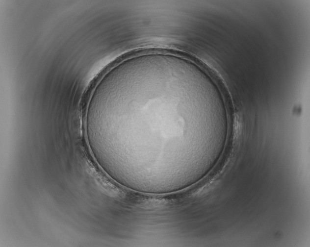 X0000115420925200911171420