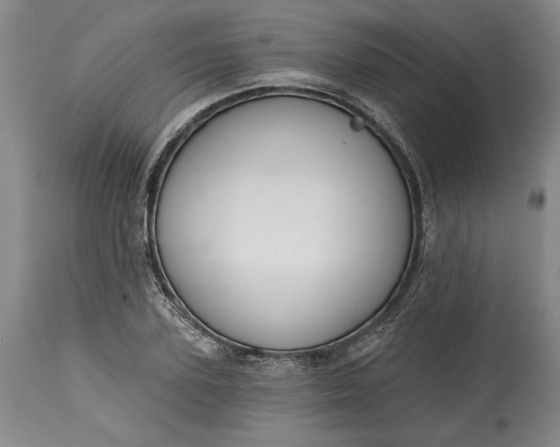 X0000115420931200911171420