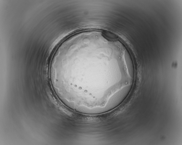 X0000115420933200911171420