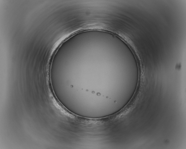 X0000115420941200911171420