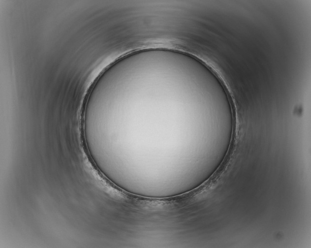 X0000115420949200911171420