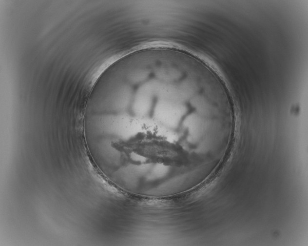 X0000115420953200911171420