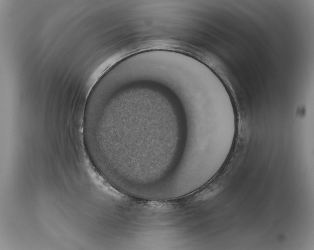 X0000115420954200911171420