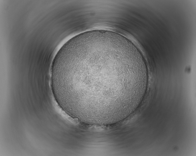 X0000115420955200911171420