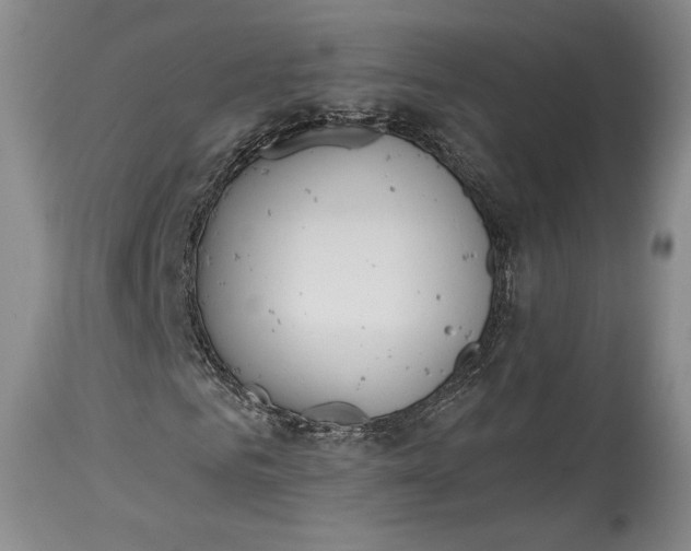 X0000115420961200911171419