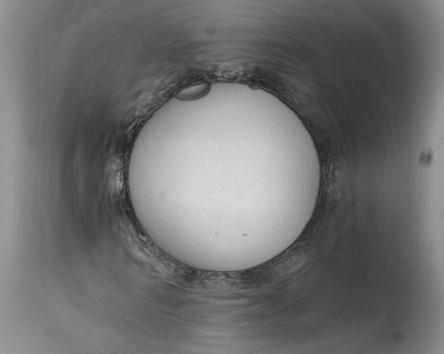 X0000115420962200911171419