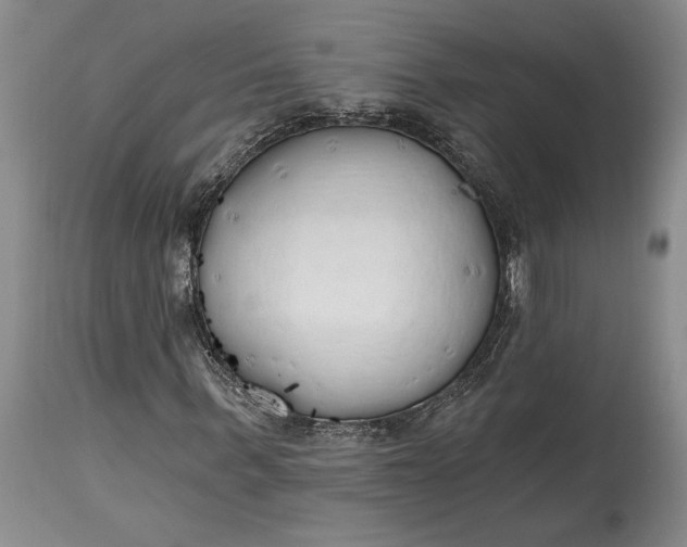 X0000115420963200911171419