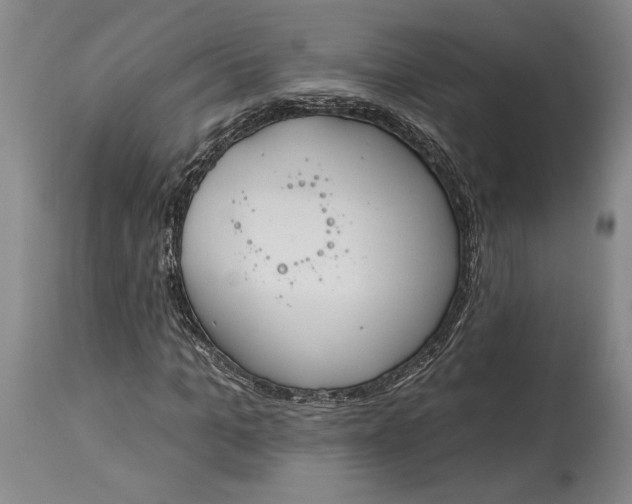 X0000115420965200911171419