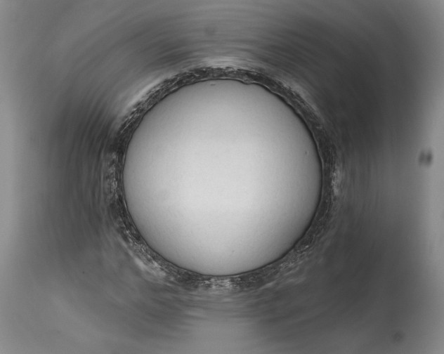 X0000115420968200911171419