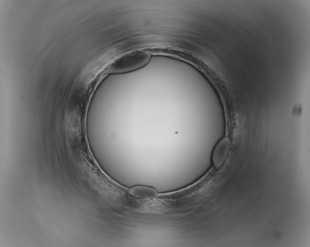 X0000115420969200911171419