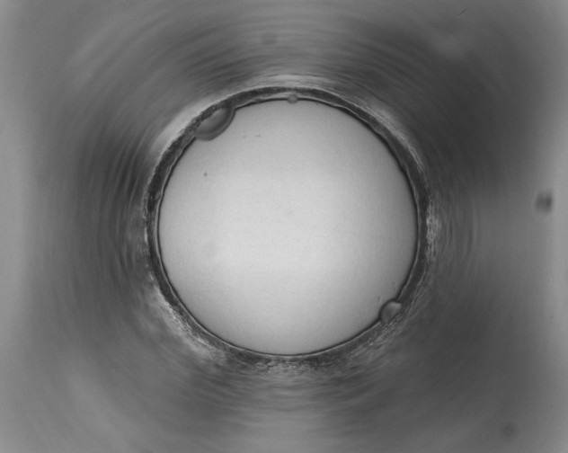X0000115420972200911171419