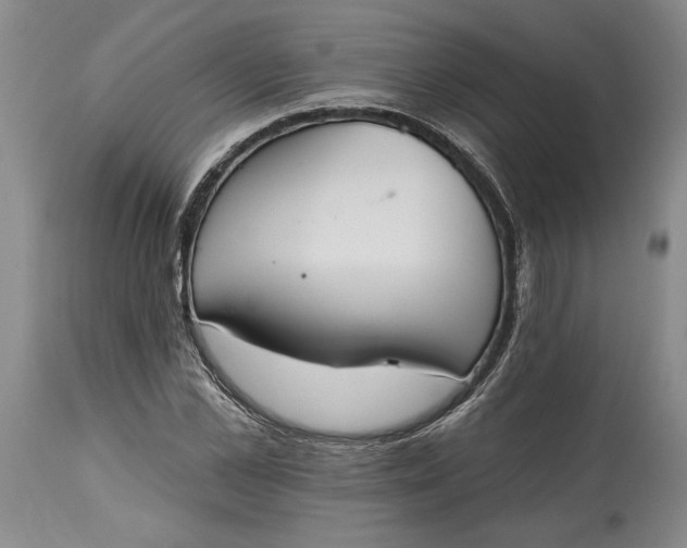 X0000115420973200911171419