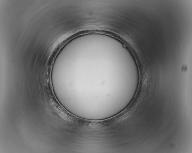 X0000115420974200911171419