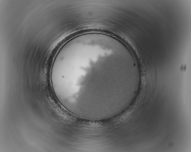 X0000115420975200911171419