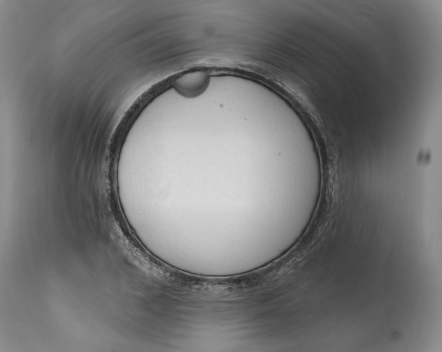 X0000115420976200911171419