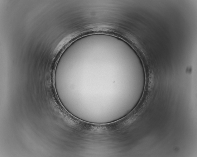 X0000115420978200911171419