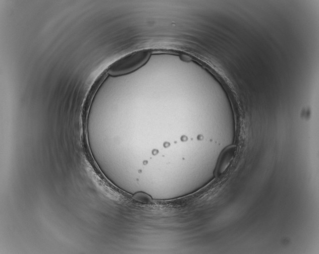 X0000115420980200911171419