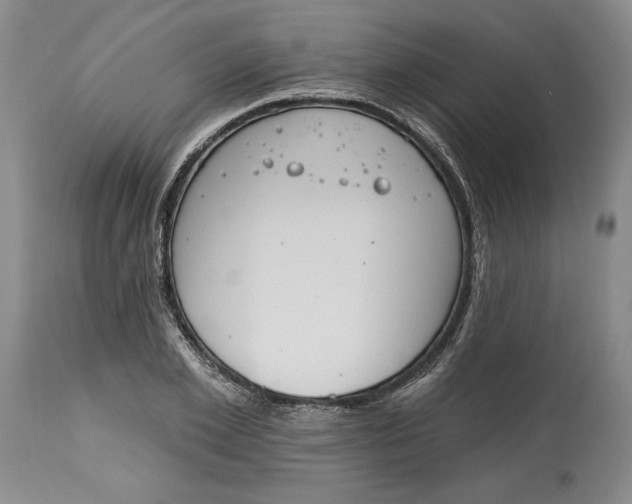 X0000115420981200911171419