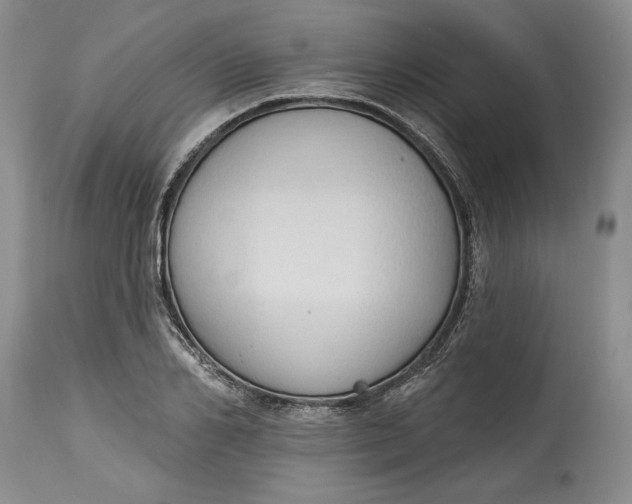 X0000115420982200911171419