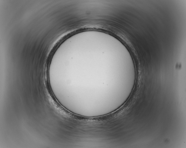 X0000115420984200911171419
