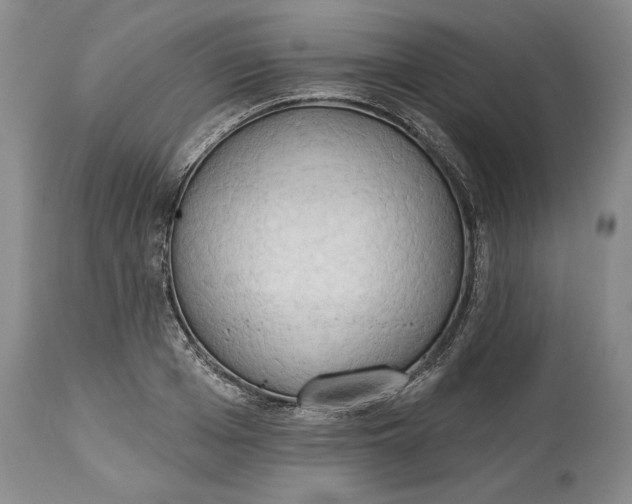 X0000115420985200911171419