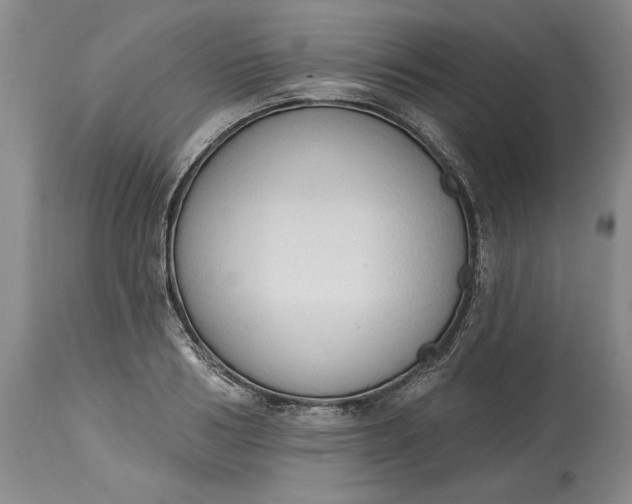 X0000115420986200911171419